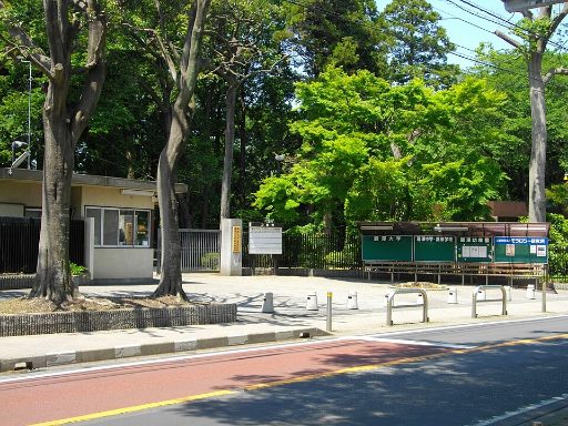 麗澤中学校の校舎の写真
