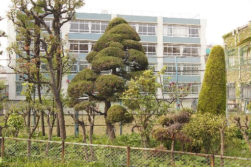 成女学園中学校の校舎の写真