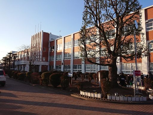 日本体育大学桜華中学校の校舎の写真