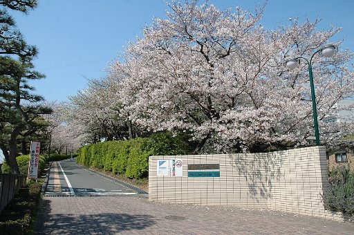 静岡県立浜松西高等学校中等部の校舎の写真