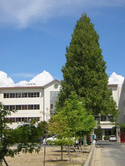 金光学園中学校の校舎の写真