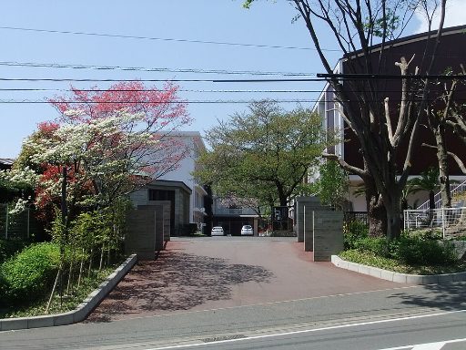 上智福岡中学校の校舎の写真