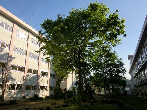 新潟県立津南中等教育学校の校舎の写真